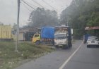 Penumbangan Pohon Pinus Marak di Kecamatan Girsang Sipangan Bolon, Angkutan Tanpa Hambatan Lintasi Jalinsum